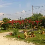Vakacio Ueduelo 3* Révfülöp