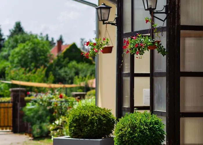 Vakacio Ueduelo 3* Révfülöp