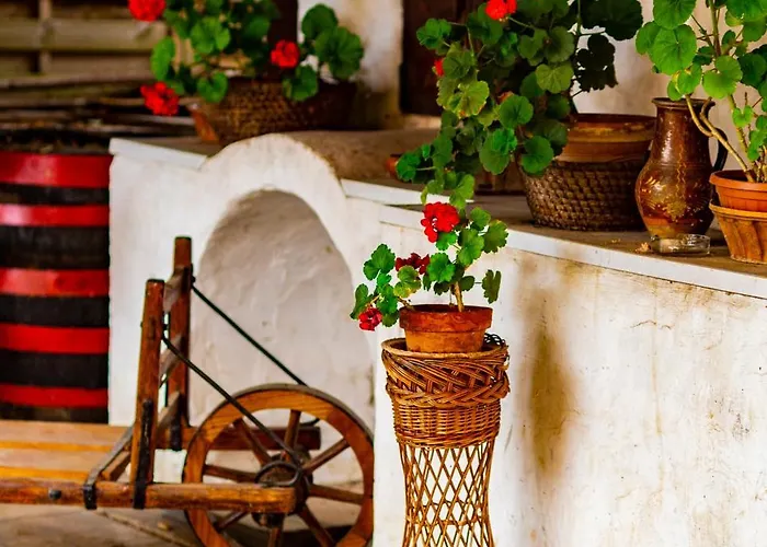 Vakacio Ueduelo Révfülöp