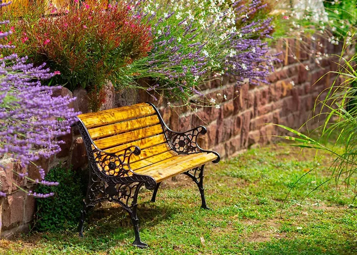 Vakacio Ueduelo Révfülöp