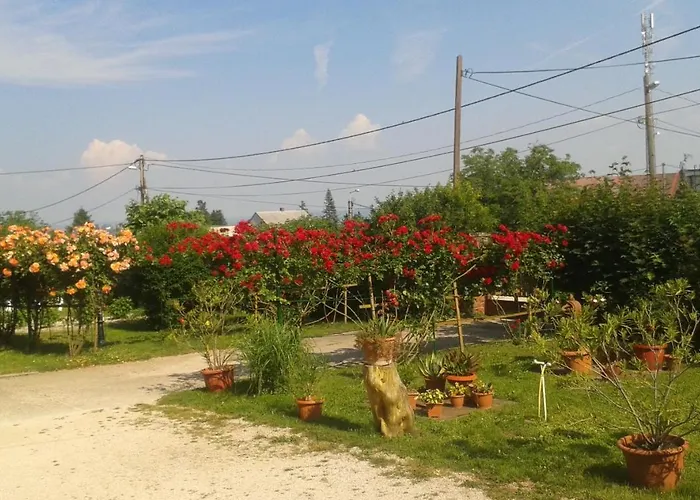 Vakacio Ueduelo 3* Révfülöp